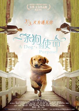 crdy在线看亚洲